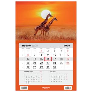 Opakowanie Kalendarz 2025 Jednodzielny Żyrafy