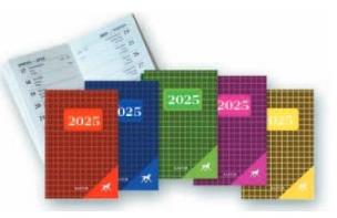 Kalendarz 2025 kieszonkowy karton MIX. Wydawca: Kastor. Multiszop.pl Opakowanie Kalendarz 2025 kieszonkowy karton MIX