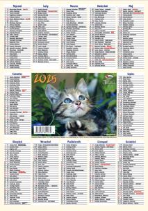 Opakowanie Kalendarz 2025 listkowy 1szt.mix