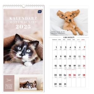 Opakowanie Kalendarz 2025 motywacyjny 22x46cm Koty