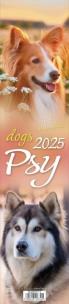 Opakowanie Kalendarz 2025 paskowy - Psy