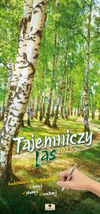 Okładka książki Kalendarz 2025 paskowy szeroki Tajemniczy Las