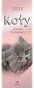 Opakowanie Kalendarz 2025 pocztówkowy Koty