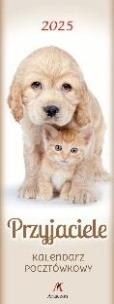 Opakowanie Kalendarz 2025 pocztówkowy Przyjaciele biały