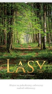 Okładka książki Kalendarz 2025 Reklamowy Lasy polskie