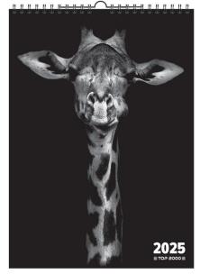 Opakowanie Kalendarz 2025 ścienny A3 Wild TOP2000