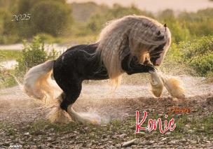 Opakowanie Kalendarz 2025 ścienny albumowy Konie