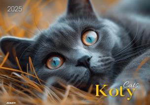 Opakowanie Kalendarz 2025 ścienny albumowy Koty