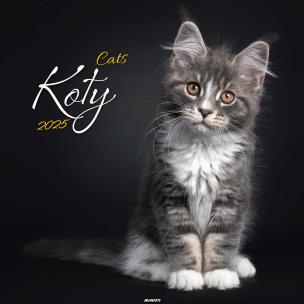 Opakowanie Kalendarz 2025 ścienny Koty