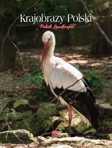 Opakowanie Kalendarz 2025 ścienny Krajobrazy Polski