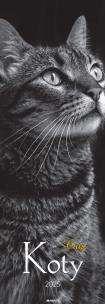 Kalendarz 2025 ścienny paskowy Koty. Wydawca: AVANTI. Multiszop.pl Opakowanie Kalendarz 2025 ścienny paskowy Koty