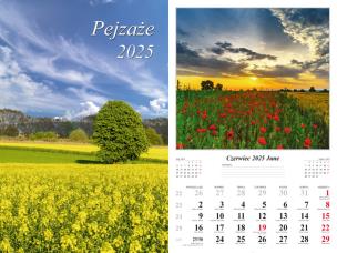 Opakowanie Kalendarz 2025 ścienny Pejzaże