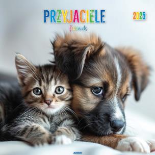 Opakowanie Kalendarz 2025 ścienny Przyjaciele