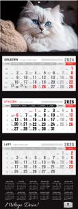 Okładka książki Kalendarz 2025 Trójdzielny Premium Kot