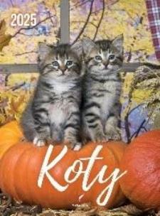 Opakowanie Kalendarz 2025 wieloplanszowy B4 Koty