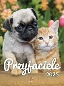 Opakowanie Kalendarz 2025 wieloplanszowy B4 Przyjaciele