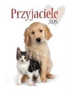 Opakowanie Kalendarz 2025 wieloplanszowy Przyjaciele biały