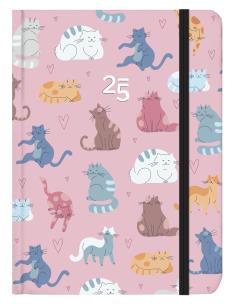 Opakowanie Kalendarz codzienny B6 Koty ALBI