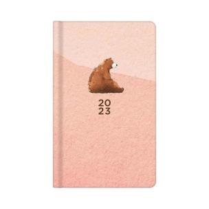 Opakowanie Kalendarz kieszonkowy 2023 Miś ALBI