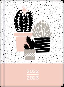 Kalendarz książkowy 18M 2022/2023 Kaktusy ALBI. Wydawca: Albi. Multiszop.pl Opakowanie Kalendarz książkowy 18M 2022/2023 Kaktusy ALBI