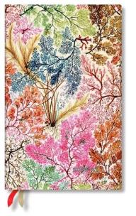 Opakowanie Kalendarz książkowy maxi 2022/2023 18M Anemone