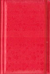 Opakowanie Kalendarz nauczyciela 2022/2023 czerwony WYPIÓR