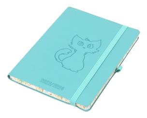 Opakowanie Kalendarz szkolny 2023/24 B6 tyg Salsa turkusowy