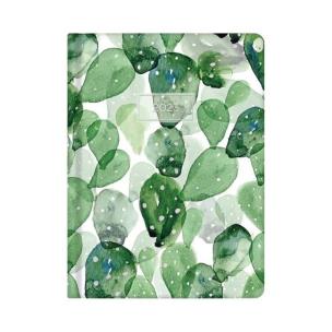 Opakowanie Kalendarz tygodniowy 2023 Zielone kaktusy ALBI