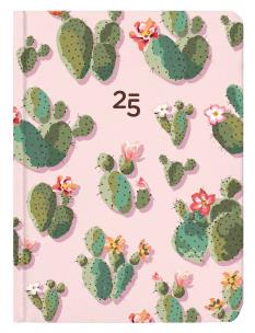 Opakowanie Kalendarz tygodniowy B6 Kaktusy ALBI