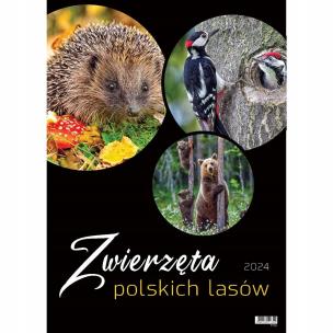 Kalendarz wieloplanszowy 2024 duży ścienny Zwierzę. Wydawca: Evena. Multiszop.pl Opakowanie Kalendarz wieloplanszowy 2024 duży ścienny Zwierzę