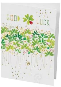 Opakowanie Karnet B6 + koperta MO7428X1 Powodzenia