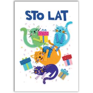 Opakowanie Karnet B6 Koty 3D