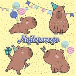 Opakowanie Karnet KW Kapibary