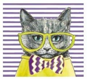 Opakowanie Karnet KW Kot seledyn