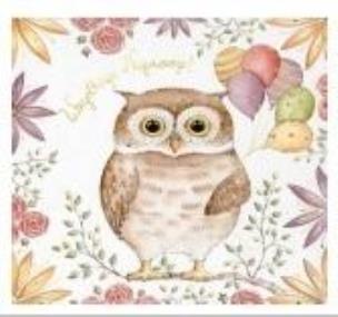 Opakowanie Karnet KW Sówka