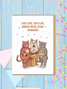 Karnet Urodziny - Koty sto lat. Wydawca: Nadwyraz. Multiszop.pl Opakowanie Karnet Urodziny - Koty sto lat