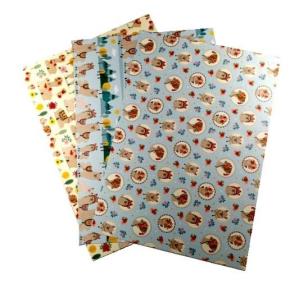 Opakowanie Karton 300g lama 24x34cm 3 ark MIX