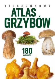 Kieszonkowy atlas grzybów. 180 gatunków. Autor: Patrycja Zarawska, Kamiński Wiesław. Multiszop.pl Okładka książki Kieszonkowy atlas grzybów. 180 gatunków