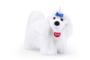 Opakowanie Klasyczne Maltańczyk M