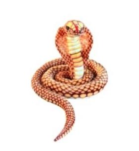 Opakowanie Kobra złota 280cm