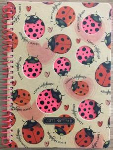 Opakowanie Kołonotatnik B6/80K kratka kraft Biedronki