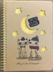 Opakowanie Kołonotatnik B6/80K kratka kraft Koty nocą