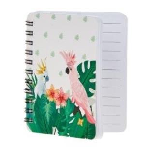 Opakowanie Kołonotatnik kakadu (6szt)