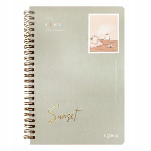 Opakowanie Kołonotes A5/68K linia Sunset szary