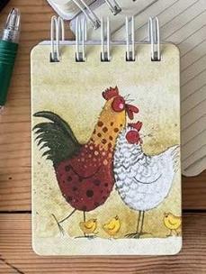 Opakowanie Kołonotes A7 SSN46 Kury