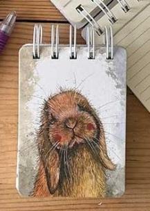 Opakowanie Kołonotes A7 SSN49 Króliczek