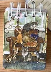 Opakowanie Kołonotes A7 SSN60 Dom pełen kotów