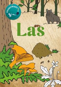 Okładka książki Kolorowanka Las