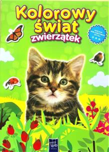 Okładka książki Kolorowy świat zwierzątek. Kotek