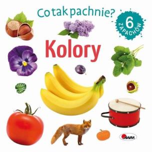Okładka książki Kolory. Co tak pachnie?